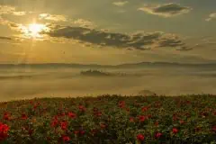 Tuscany sunrise with fog
